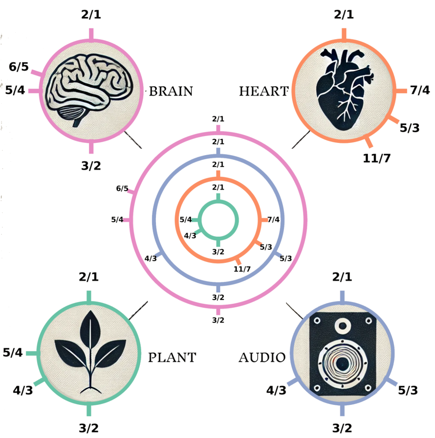 biotuner_multimodal_02