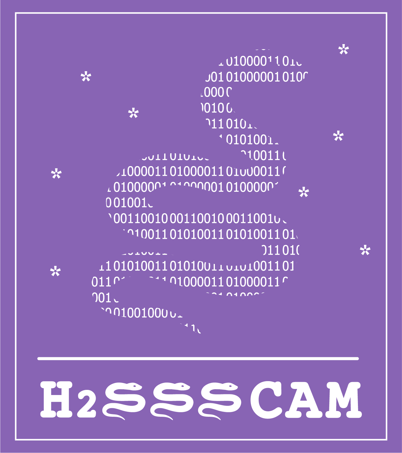 Purple square logo with white border, showing a snake silhouette made of binary code and surrounded by asterisks, with the text H2SSSSCAM in stylized font at the bottom.