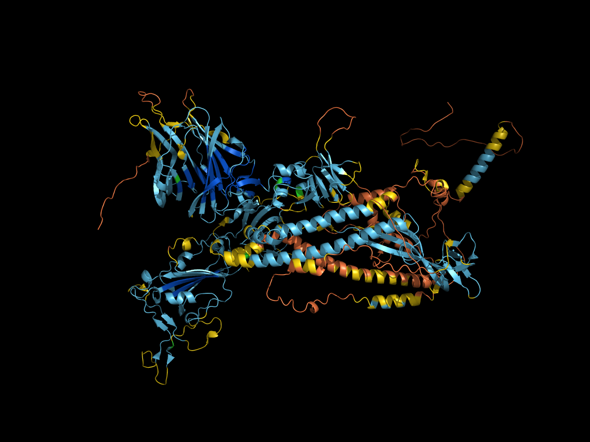 pLDDT confidence of the AlphaFold SARS-CoV-2 spike model (P0DTC2)