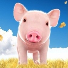 Avatar for snachx from gravatar.com