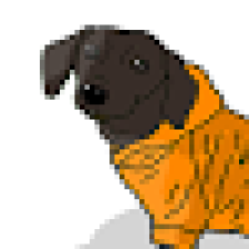 Avatar for Rebecca Elyanow from gravatar.com