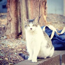 Avatar for zenzhu from gravatar.com