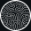 Avatar for invariant-ai from gravatar.com