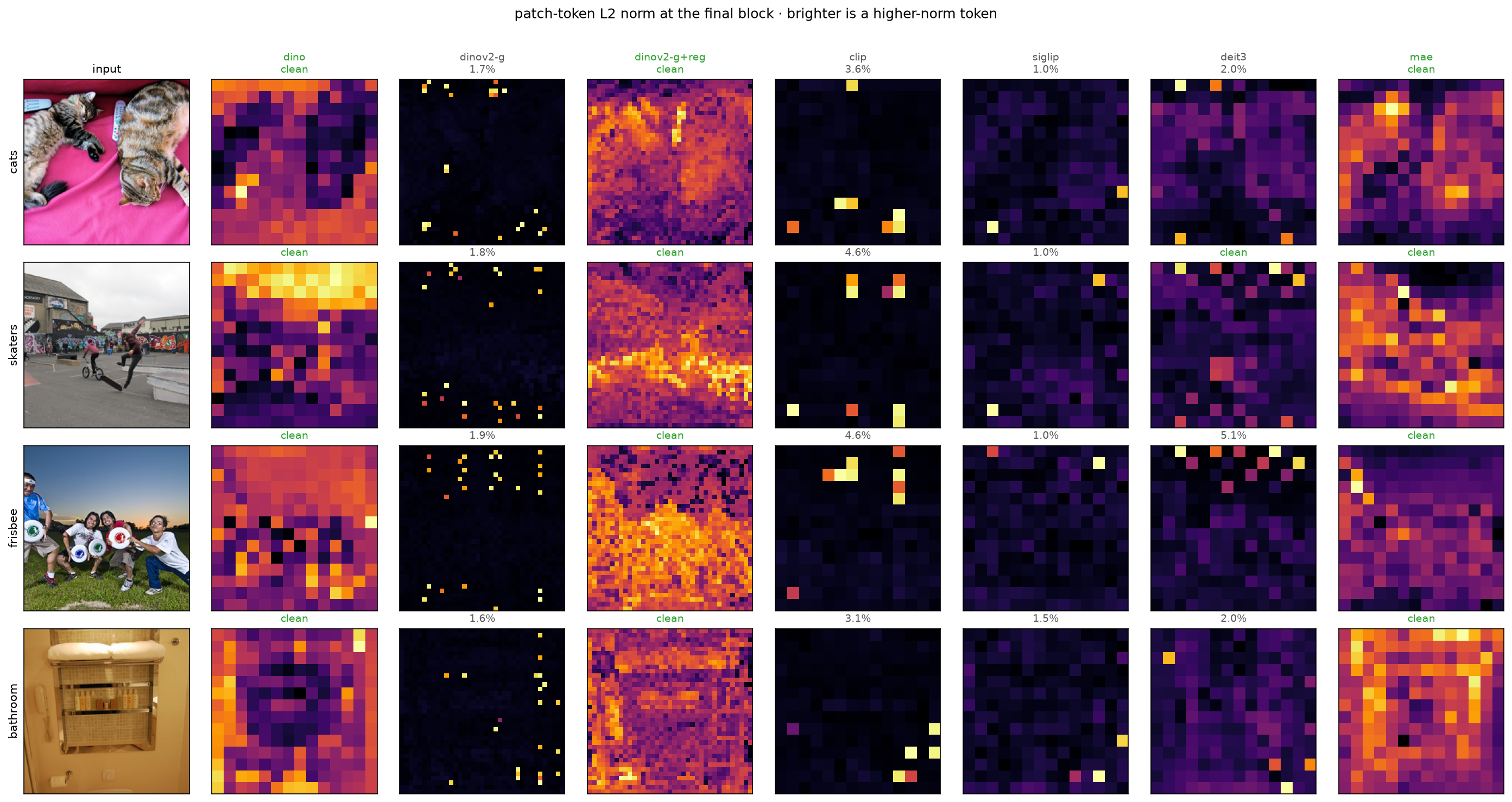 Patch-token norm maps across seven backbones and four images
