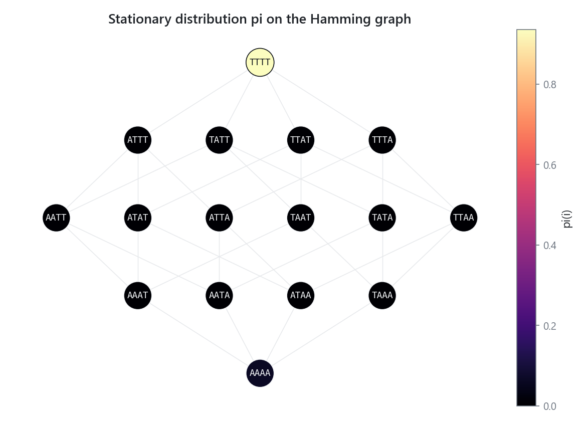 Stationary distribution of the evolutionary Markov chain drawn on the genotype graph, node size and color set by stationary probability