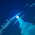 Avatar for rajpiskala from gravatar.com