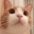Avatar for myfjdthink from gravatar.com
