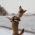 Avatar for dioptx from gravatar.com