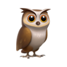 Avatar for koKekkoh from gravatar.com