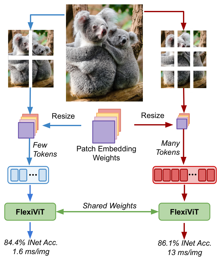flexivit-pytorch · PyPI