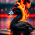 Avatar for Bio from gravatar.com