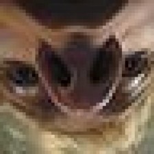 Avatar for Keenan Pepper from gravatar.com