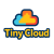 Avatar for TinyCloud from gravatar.com