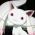 Avatar for Bismu-jet from gravatar.com
