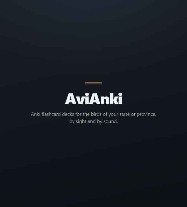 AviAnki: a photo card of an American Robin flipping to its answer, an audio card drawn with the real waveform of the recording it plays, then the same card restyled through every built-in theme