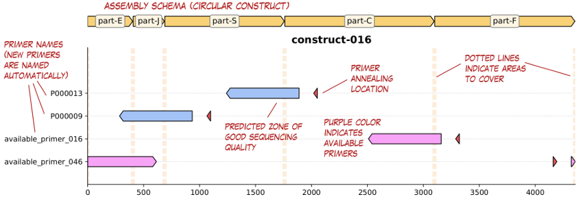 https://raw.githubusercontent.com/Edinburgh-Genome-Foundry/Primavera/master/docs/_static/images/annotated_primer_selection.png