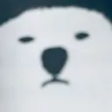 Avatar for darkdarcool from gravatar.com