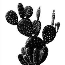 Avatar for Pentek Zsolt from gravatar.com