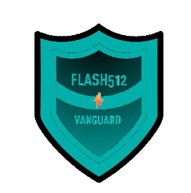 flash512_pic