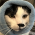 Avatar for jackjennings from gravatar.com
