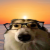 Avatar for G3tFun from gravatar.com