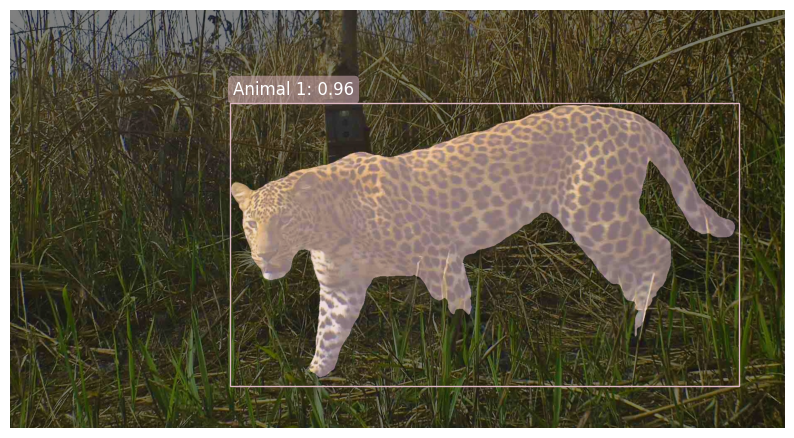Example Segmentation