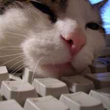 Avatar for caligari from gravatar.com