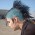 Avatar for silveroxides from gravatar.com