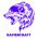 Avatar for RapierCraft from gravatar.com