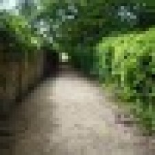 Avatar for Derrick_Botha from gravatar.com