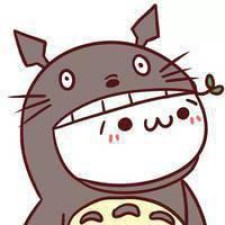 Avatar for fei051466 from gravatar.com