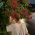 Avatar for noahmclaughlin from gravatar.com