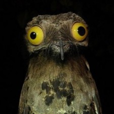 Avatar for Richard Kuesters from gravatar.com