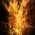 Avatar for jpmorr from gravatar.com