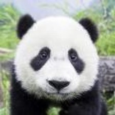 Avatar for smallfz from gravatar.com