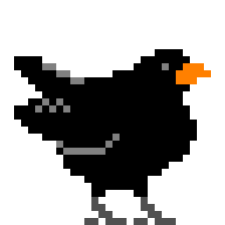 Avatar for Rupus Reinefjord from gravatar.com
