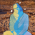 Avatar for guidogagl from gravatar.com