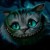 Avatar for N1X from gravatar.com