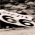 Avatar for da66en from gravatar.com