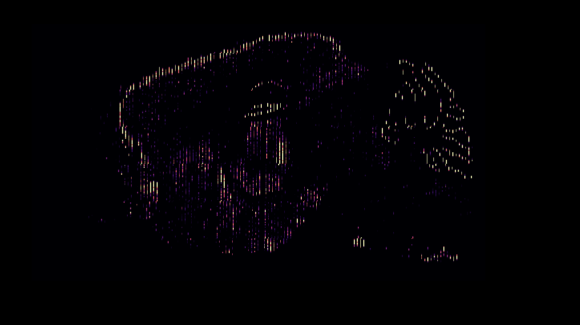 a sagittal section through the 71717640 experiment. It contains gaps between slices where there is no data.