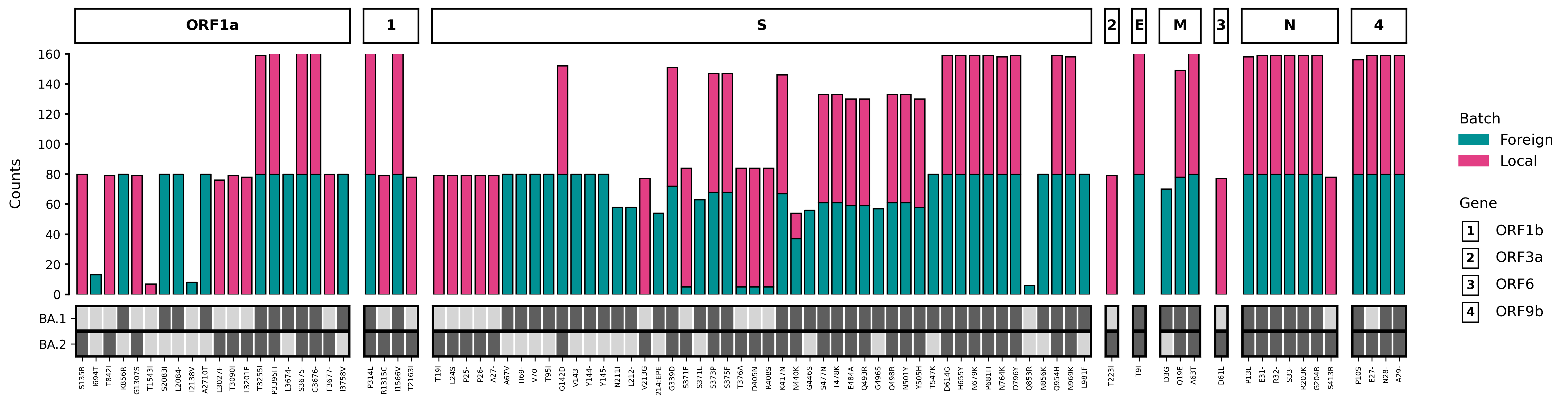 mutation profile with genes ordered