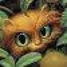 Avatar for defance from gravatar.com