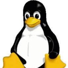 Avatar for John Antreassian from gravatar.com