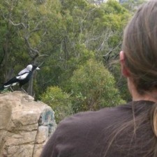 Avatar for Chris Billington from gravatar.com