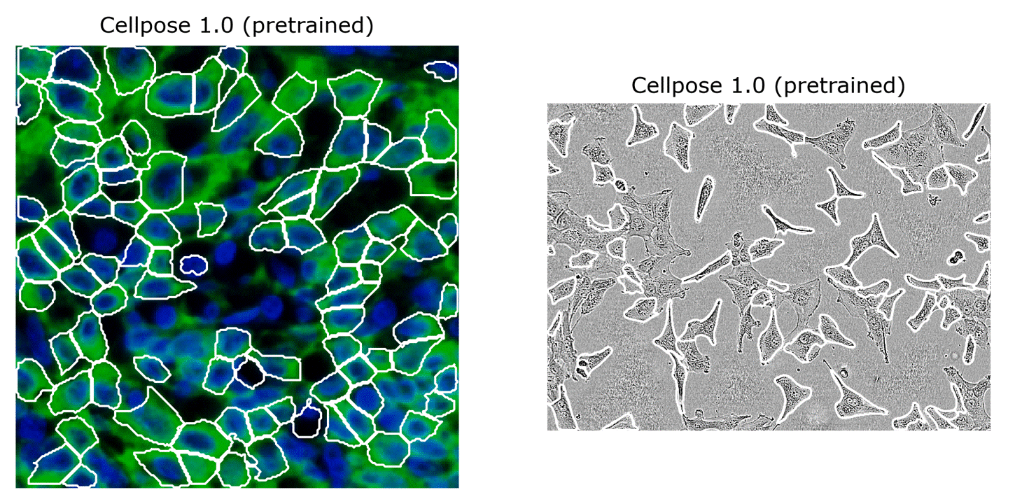 cellpose2 vs cellpose1 results
