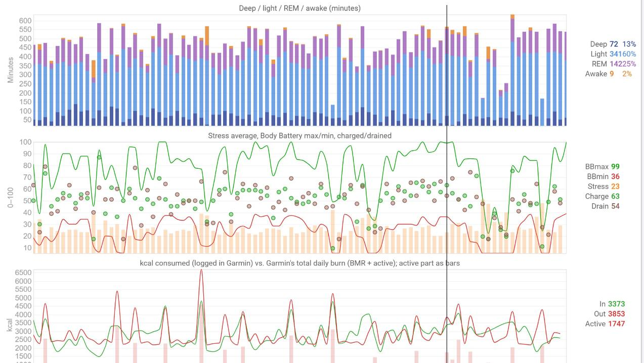Fitness page with Garmin Bridge charts: sleep stages, stress and Body Battery, kcal consumed vs. burned