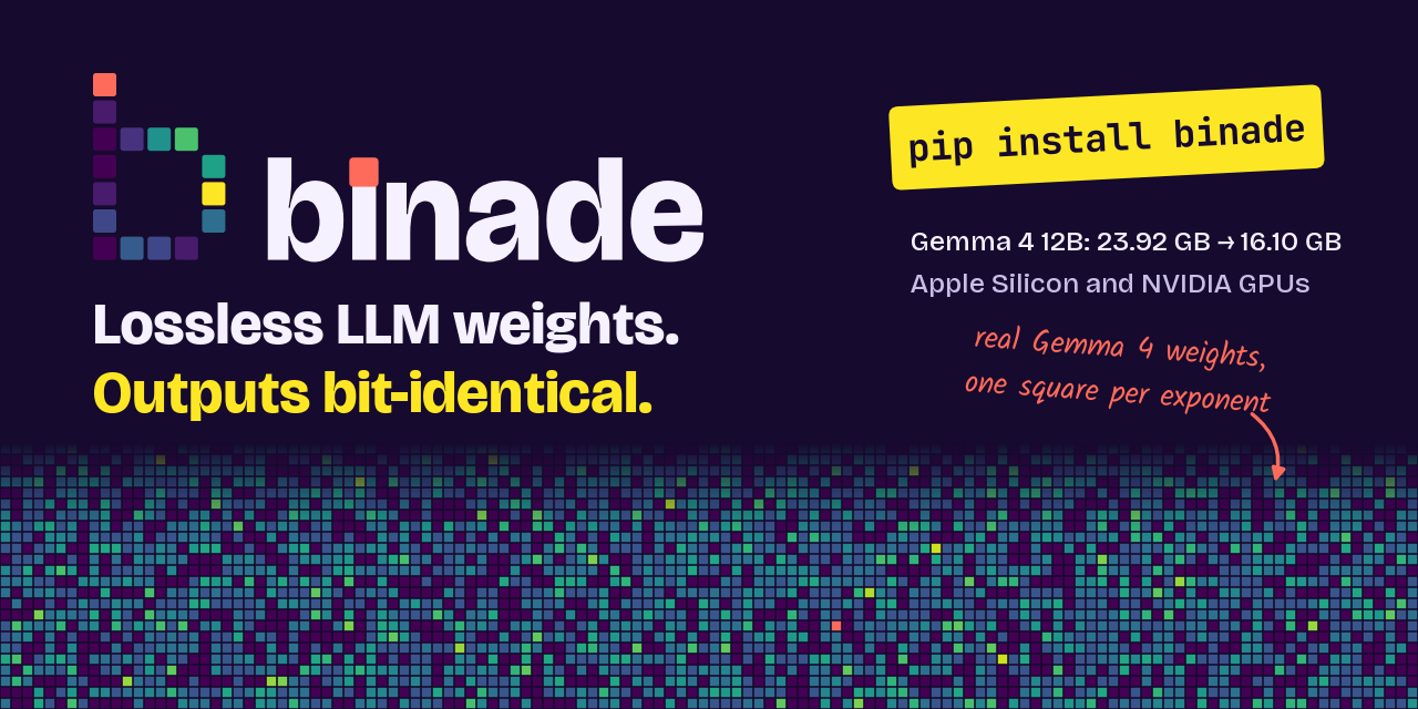 binade: lossless LLM weights, outputs bit-identical. Below the words, a band of exponent ranks from real Gemma 4 12B weights, one square per weight.