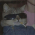 Avatar for JhonatanRian from gravatar.com
