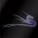 Avatar for FichteFoll from gravatar.com