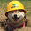 Avatar for evdcush from gravatar.com